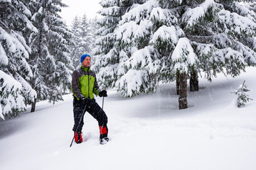 Fototapeta na wymiar Traveler goes snowshoeing among huge pine trees