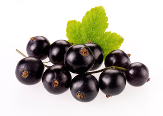 FRESH BLACKCURRANTS