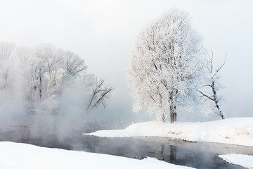 Winter landscape of trees and river in a foggy morning. Frost and cold and sunshine.