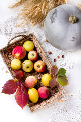 harvest of red apples in a basket and pumpkin whith autumn leaves.