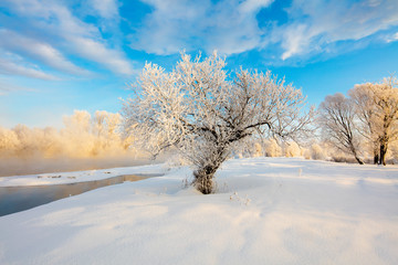 Winter landscape of trees and river in a foggy morning. Frost and cold and sunshine.