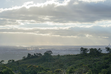 Landscape of Perth city from Mundaring at spring first flowers