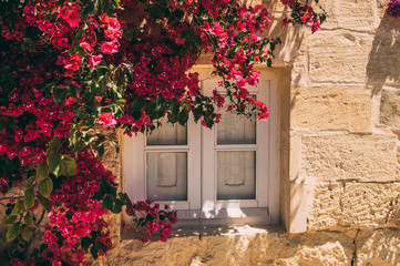 Maltese window in countryside