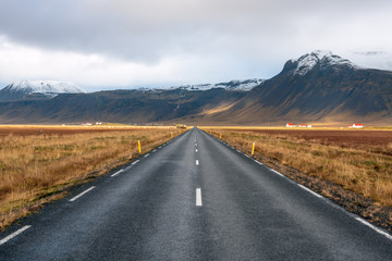 Empty Road Running through a Valley with Grassy Fields and Red Roof Farms in Iceland on a Cloudy Autumn Day.