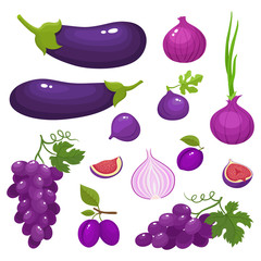 Vector illustration with violet vegetables and fruits isolated on white.