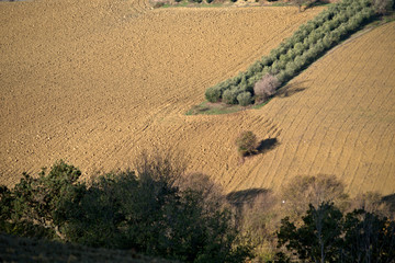 landscape of fields,agriculture,crop,trees,countryside,autumn,view,hill,land