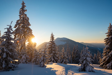 Magic sunrise in the winter mountains after snowfall