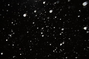 The texture of the flying snow on a black background.
