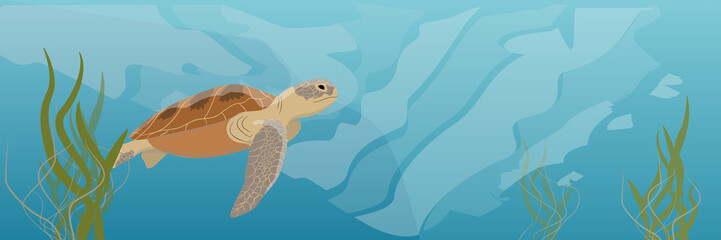 Tropical underwater realistic landscape. A large green sea turtle soup swims under water. Seaweed Vector illustration of a sea life