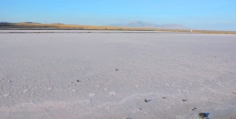 Wild North Algeria