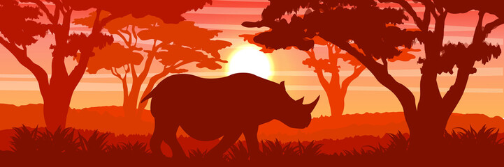 Silhouette. A large white rhino in the African savannah. Thickets of acacia. Wildlife of Africa. Realistic Vector Landscape