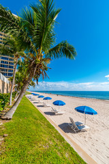 Palm trees and parasol row on Miami Beach, Florida, United States