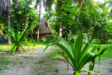 Carribean landscape on Isla Grande, Rosario Archipelago, Colombia, South America