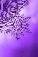 Chrystal transparent glass snowflake on feather branch in proton purple shades, close up