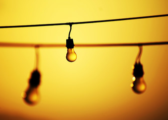 Light bulbs in sunset light, Minca , Colombia