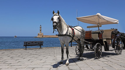 Horse and carriage