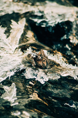 Crushed ice background. Pieces of crushed ice cubes on black background. Copy space, top view