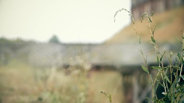 An ancient Slavic pagan city built of wood, excellent scenery for a historical film, old wooden churches and houses, an orthodox cross, summer time, no people in the frame, old Kiev