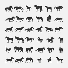 Set of horse icons. Vector illustration.