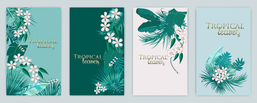 Vector tropical background set in Quetzal Green colors. Botany design for cover.