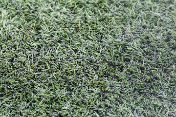 sztuczna murawa na boisku trawa © Arkadiusz