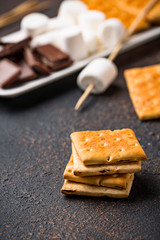 Ingredients for toasting marshmallows and cooking s'mores