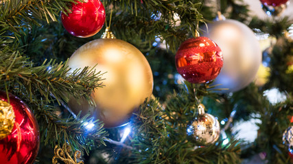 Red and golden Christmas ball on fir tree branch 