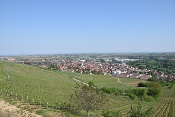 Fototapeta na wymiar Village viticole en Alsace