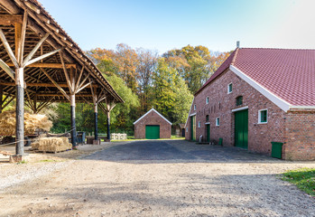 Fototapeta na wymiar Traditional Dutch farmhouse scene