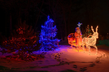 Christmas street scenery in the park
