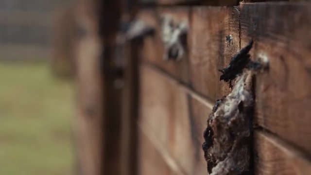 An ancient Slavic pagan city built of wood, excellent scenery for a historical film, old wooden churches and houses, an orthodox cross, summer time, no people in the frame, old Kiev