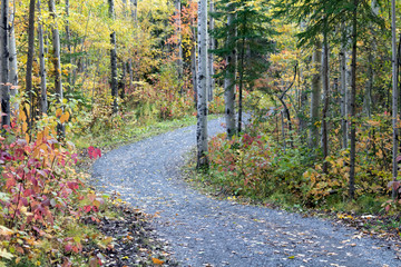 sentier d'automne haut en couleurs 