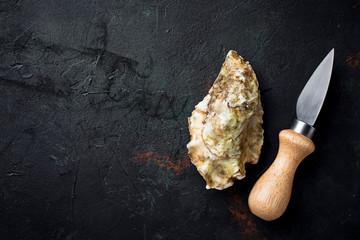 Fresh oysters on dark background © Yulia Furman