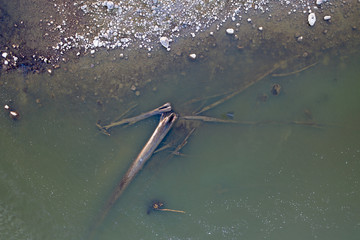 kamienie i pień drzewa w rzece o zachodzie słońca widok od góry © Arkadiusz