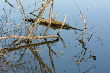 Spring day at the lake