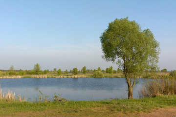 Spring day at the lake