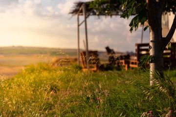 Sunset with a greenery background and florals