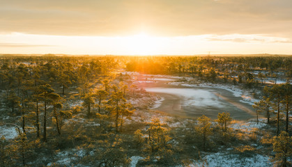 Fototapeta na wymiar Panoramic view over the swamp in sunrise at Ķemeri national park, Latvia. First snow covering the iconic landscape. Sunlight shines over the frosty marsh. 
