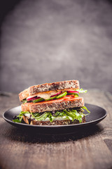 Sandwich with salmon and fresh vegetables