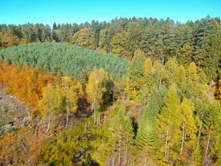 Aerial view on autumn forest with red, yellow, orange, brown and green color trees.