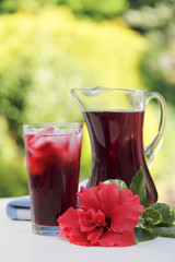 HIBISCUS OR ROSELLE JUICE