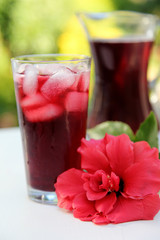 HIBISCUS OR ROSELLE JUICE