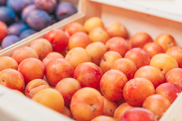 Beautiful fresh plums on the market