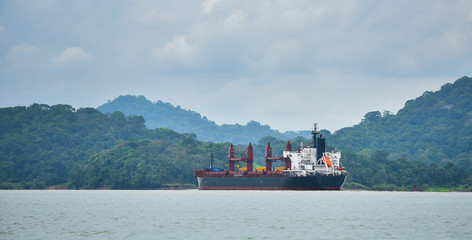 A large cargo ship makes its way through the Panama Canal waterways.  Each side between lift locks is lined with green rain forest jungle. - 236339104