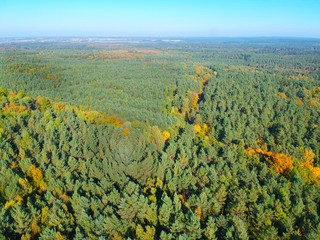 Aerial view on autumn forest with red, yellow, orange, brown and green color trees