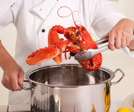 CHEFT COOKING LOBSTER
