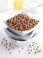 CORIANDER SEEDS
