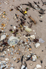 Empty used dirty plastic bottles on the beach. Environmental pollution at the beach