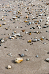 Fototapeta na wymiar Pebbles on sandy beach