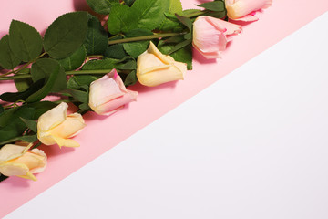 Flowers on a white background.